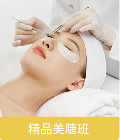 课程体系